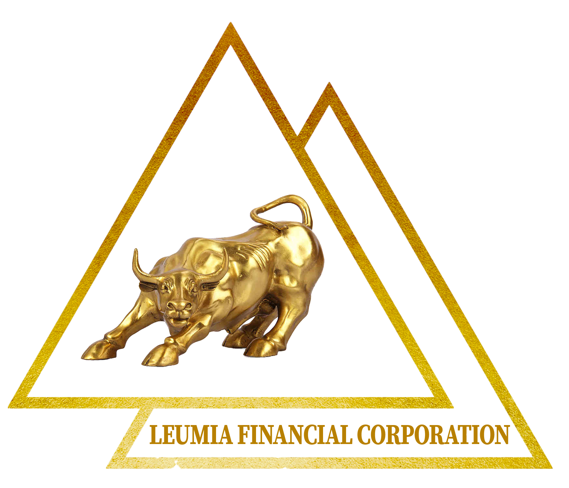 Financial-logo-2